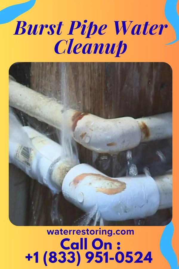 Burst Pipe Water Cleanup in Bentleyville, PA