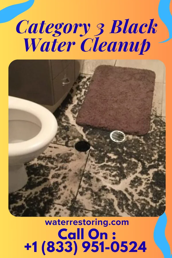 Category 3 Black Water Cleanup in Bentleyville, PA