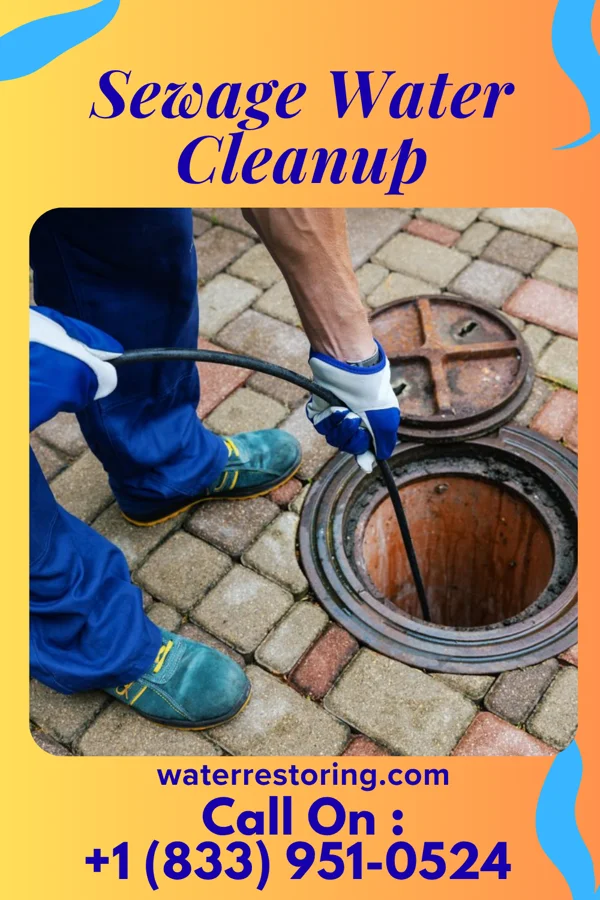 Sewage Water Cleanup in Bentleyville, PA