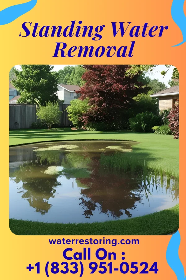 Standing Water Removal in Bentleyville, PA